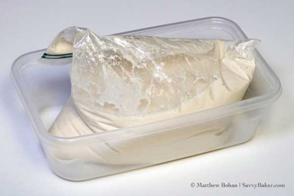 Sourdough Starter