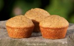 Golden Millet Muffins
