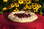 Rustic Plum Berry Tart