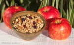 Apple Cider Granola