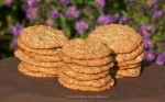 Fall Harvest Oatmeal Cookies