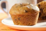 Chocolate Chip Pumpkin Muffin