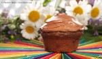 Dark Chocolate Muffin Cake
