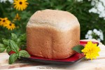 Rapido! Speedy Italian Bread