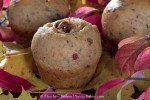 Sweet Potato Cinnamon Oat Rolls