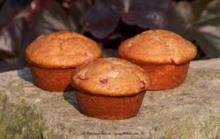 Chocolate Zucchini Nut “Muffins”