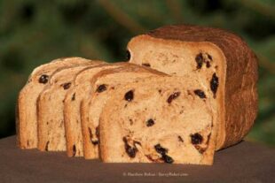 Zesty Cranberry Lime Biscotti