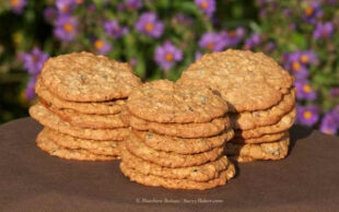 Gingerbread Biscotti